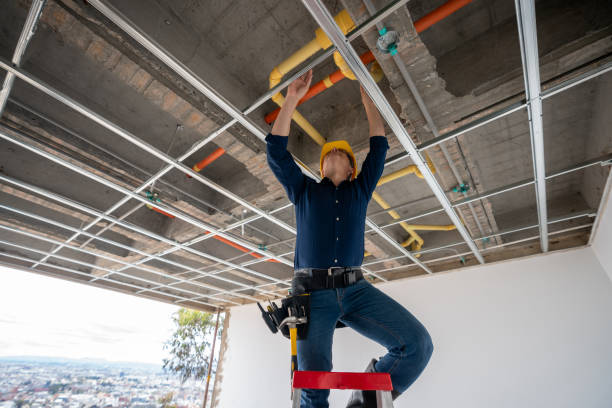 Best Local Plumber Services  in Rosenhayn, NJ