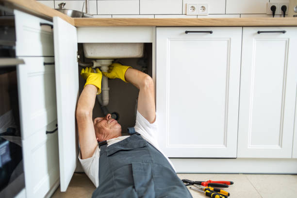 Best Local Plumber Services  in Rosenhayn, NJ