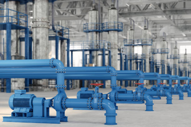 Best Sewer Line Repair  in Rosenhayn, NJ