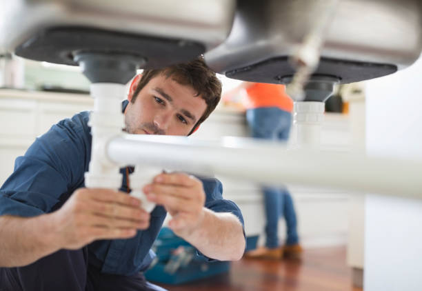 Best Best Plumbers Near Me  in Rosenhayn, NJ