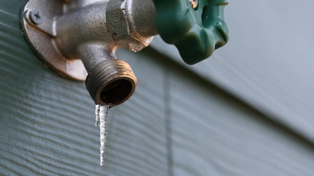 Best 24-Hour Plumber Near Me  in Rosenhayn, NJ
