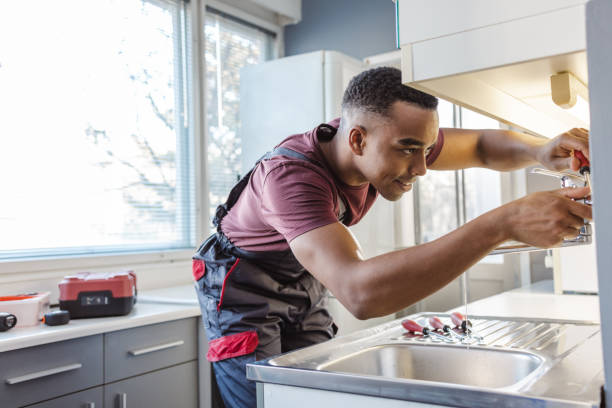 Best Plumbing Inspection Services  in Rosenhayn, NJ