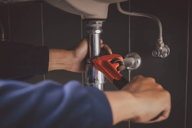Best Plumbing Repair Near Me  in Rosenhayn, NJ