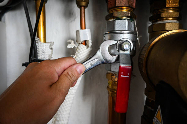Best Sprinkler Systems  in Rosenhayn, NJ